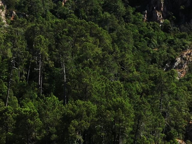 CHALET LES ROCHES BLEUES Vue époustouflante